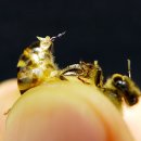 영창한의원 이미지