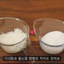 포마이숑