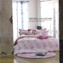 에덴혼수 이미지