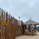 나탄 스테이 이미지