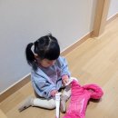 오션플레이 | [고성 소노 리조트] 델피노 오션플레이 후기 실내수영장 물온도 튜브 필수 준비물 등 아이와 함께