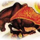 천지화우 이미지