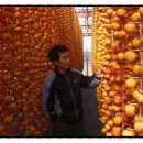 운주농장 이미지