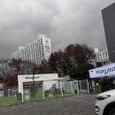 오가멍 | 광주 서구 신상 애견카페 멍쥬르 내돈내산 찐후기