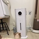 로엘헬스케어 | 로엘 보스 헬스케어 AI 가습기 후기