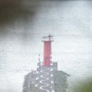 마량초등학교 이미지