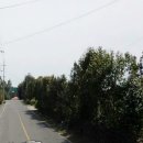 남원읍-88 이미지