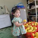 빈이네농장 이미지