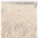 안산운전면허시험장 이미지