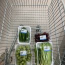 이랑둔내휴양림 이미지