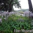 구월의정원