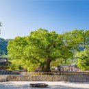 부안 촌캉스 이미지