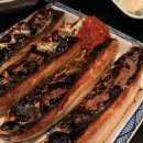 순수산 티스토리