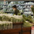 소비자마트 이미지