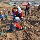 동해-단속-50 이미지