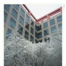 용구대로 Daum카페