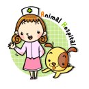 아이엠 동물병원 이미지