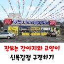 시흥애완용품점 | 시흥애견용품매장, 장보는 강아지와 고양이 신목감점에서 다양한 애완용품 구경하기