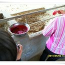 유일사슴목장 이미지