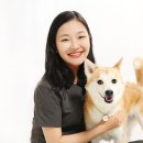 브이아이피 동물의료센터 이미지