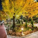 대전시청 이미지