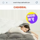 토퍼픽스