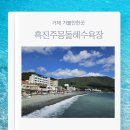 동부면 학동동백군락지 | 거제 가볼만한곳학동 흑진주 몽돌해수욕장 가을여행 추천