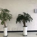 와이파이브콘도 이미지