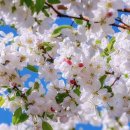 봄 - 양산시 야리2길 7-38 | 봄