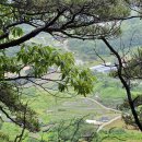 산길 이미지