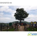 대관령 하늘 땅 펜션 이미지