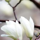 색달동-19 이미지