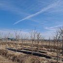 이암농장 이미지