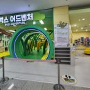 문경자연생태박물관 | 문경새재 여행 코스 추천, 무료 체험 가능한 문경자연생태박물관