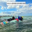 CU고성 봉포점 | 동해 스노쿨링 명소 강원도 고성 봉포해수욕장 파라솔 주차후기