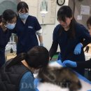 강원대학교 야생동물구조센터 이미지