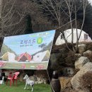 백운장뇌삼관광농원 네이버블로그