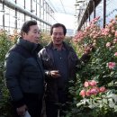 첨단농원 이미지