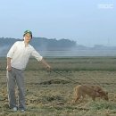 엘티네일 | 푸른 숲이 계속 이어지는 한 사랑의 연대기는 앞으로도 계속될 터였다