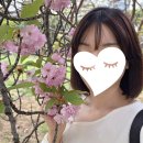염색 컬러 오래 유지하고 싶다면? 제이숲 컬러제이 보색샴푸 (블루) 1년 사용 내돈내산 후기