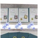모차르트 한국 콩쿨 부산 지부대회 Daum카페