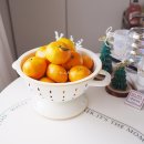 문창민한의원 | 제주 서귀포감귤, 쇠소깍산물 관광농원 귤 플레이팅