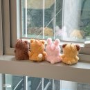 PIL COMPANY | [DAY6] 데이식스 팬미팅 <I Need My Day> OFFICIAL MERCH 온라인 구매 후기