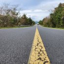 창천목장 이미지