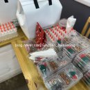 매화 초등학교 병설유치원 이미지