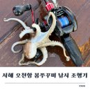 오천낚시 | 5월 서해 오천항 봄쭈꾸미 낚시 조행기 - 다이와 라이즈