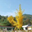 만인산 만인사 티스토리