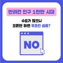 댕큐 애견유치원, 애견호텔 이미지