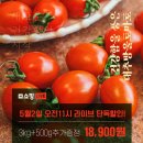 라이브 커머스를 해보았습니다. [미라클팜 대추방울토마토편]