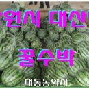 대동농약종묘사 티스토리